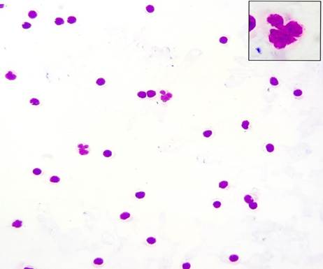 A close-up of a microscope

AI-generated content may be incorrect.