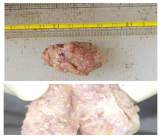 A close-up of a piece of meat

AI-generated content may be incorrect.
