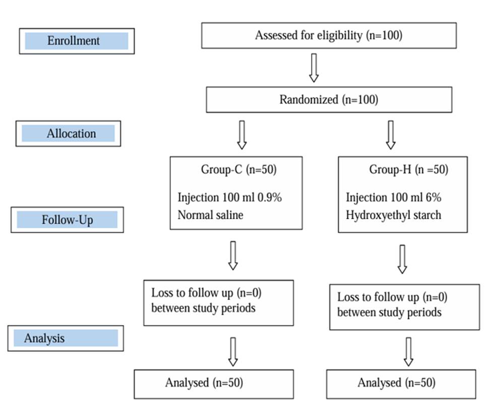 Pre - Administration of 6% Hydroxyethyl Starch for Reduction of Pain on Propofol Injection: A Placebo-Controlled Randomised Study